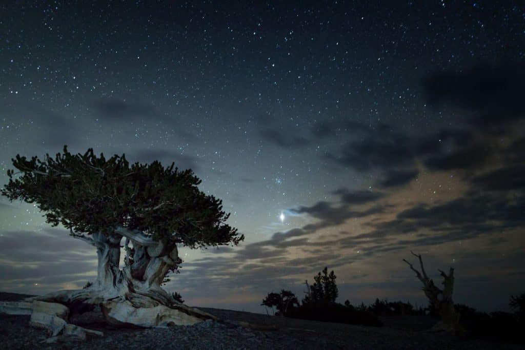 least-visited national parks: Great Basin National Park