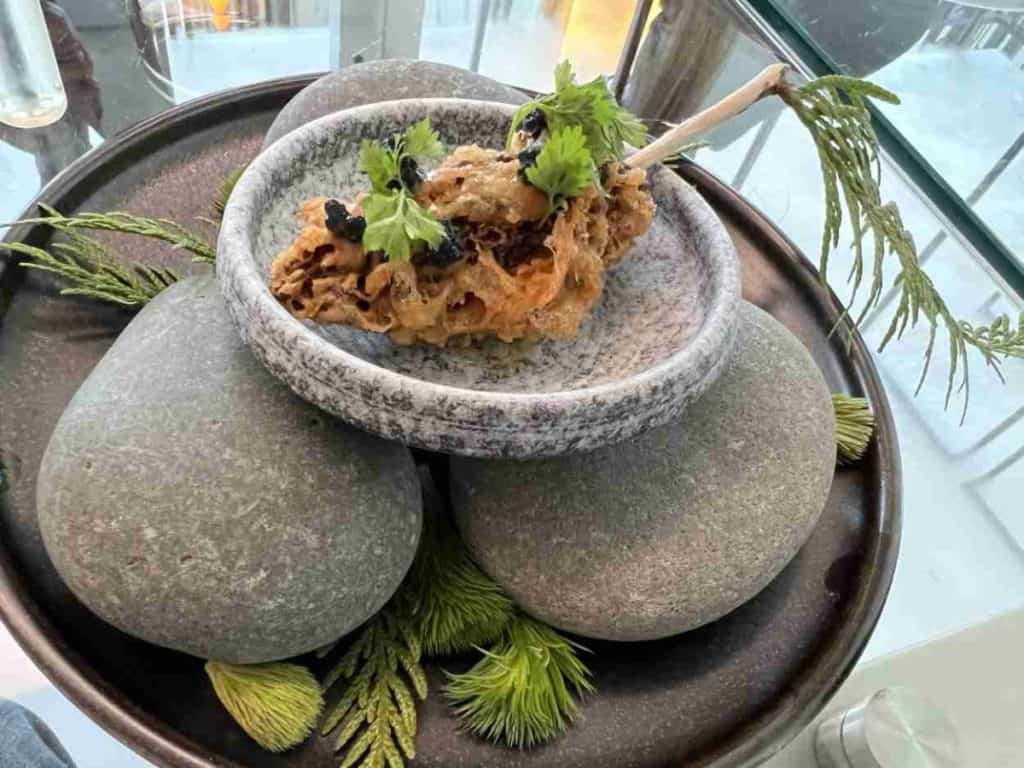 A nature inspired appetizer from Chef Kunal Dighe at the DOUGLAS