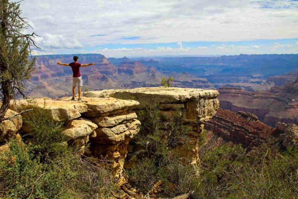 a man standing on top of a cliff overlooking a canyon - celebrating the view