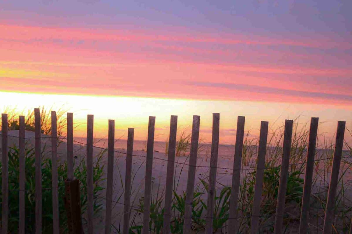 brown wooden fence during sunset