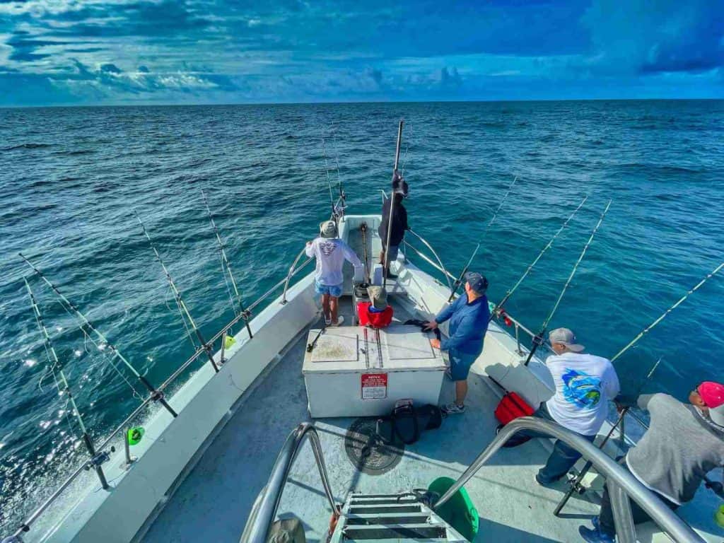 people riding on white boat during daytime and fishing