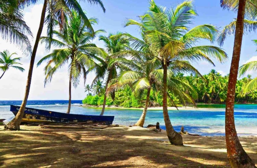 tropical island with palm trees