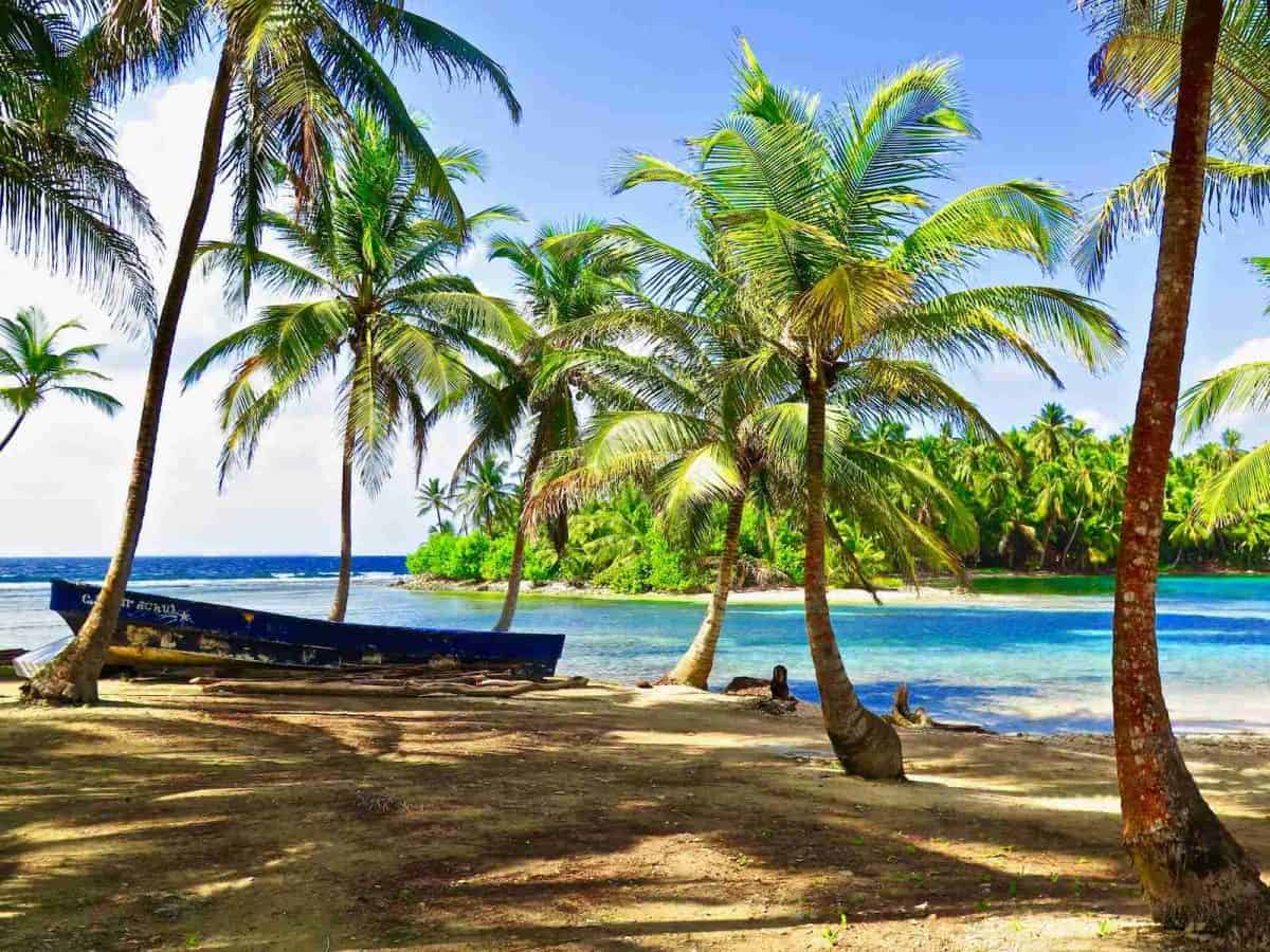 tropical island with palm trees