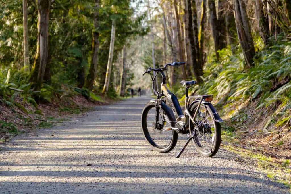 Black Bike Parked Beside the Trees