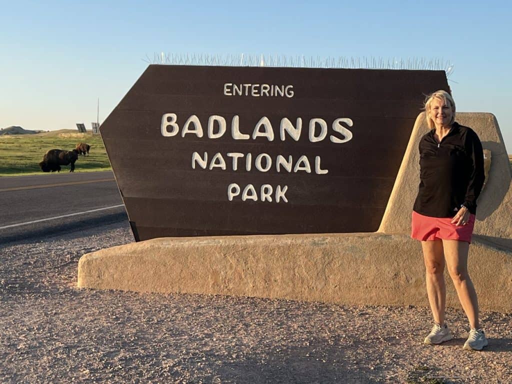 Bison in Badlands National Park