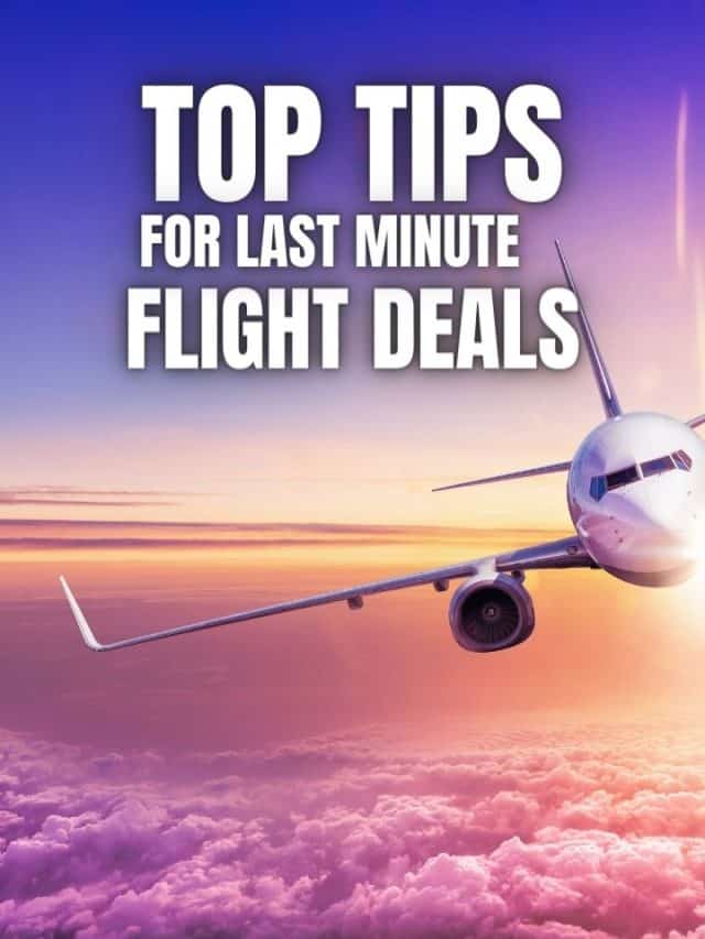 TOP TIPS For Last Minute Flight Deals Miles with McConkey