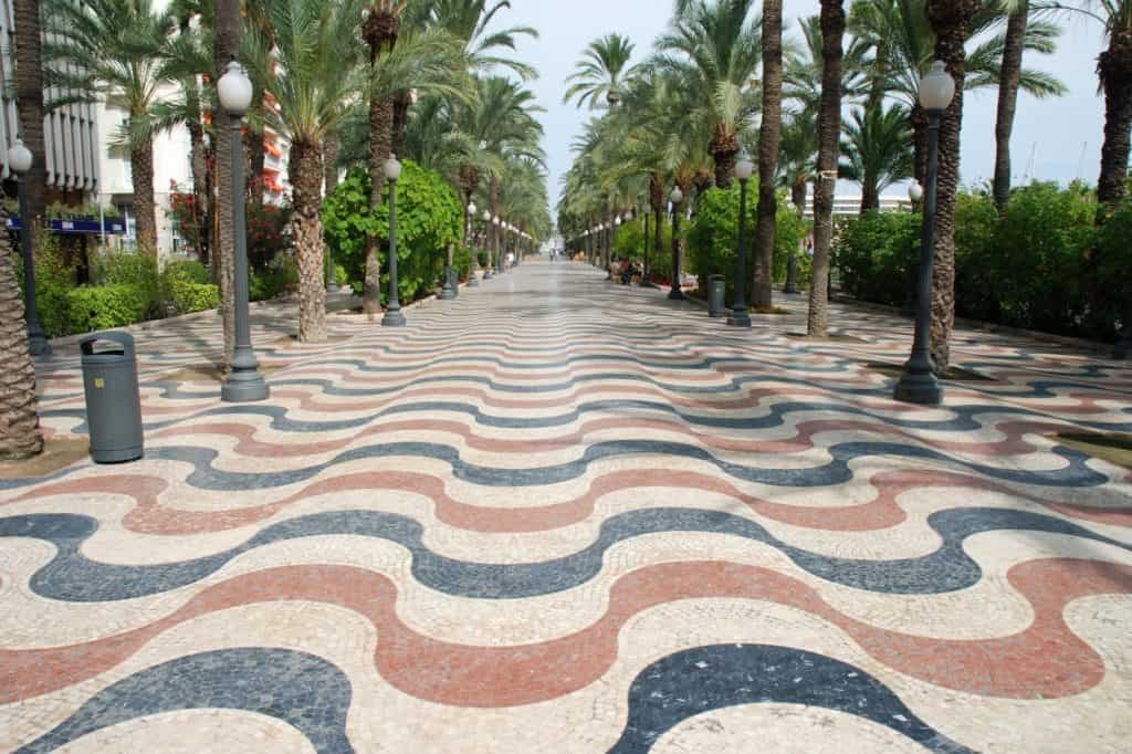 Palm tree lined walkway in Alicante, Spain