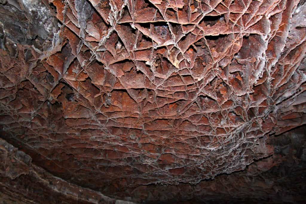 National parks in January - Wind Cave