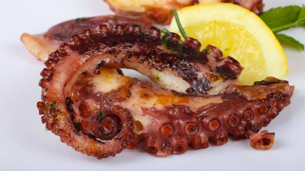 Grilled Octopus
