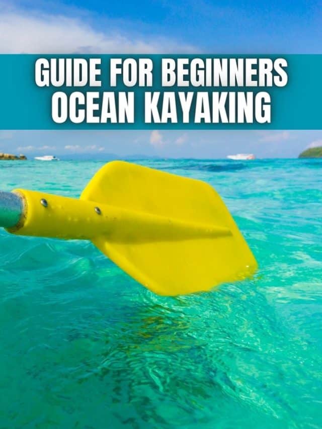 GUIDE FOR BEGINNERS TO OCEAN KAYAKING
