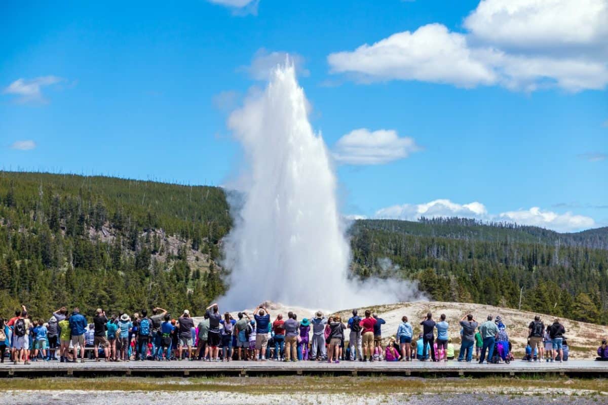 Old Faithful geyser in Yellowstone National Park