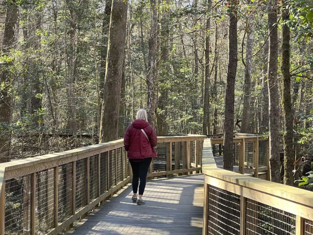Hiking in Congaree National Park, SC
