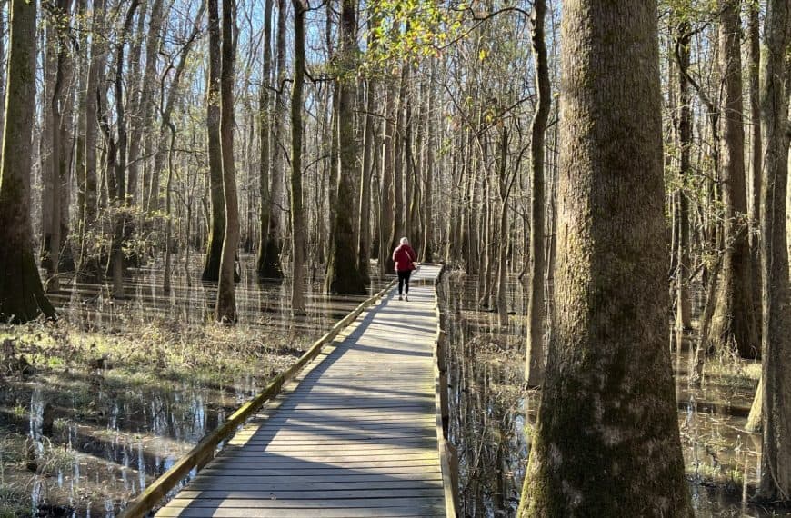 Miles with McConkey at Congaree National Park