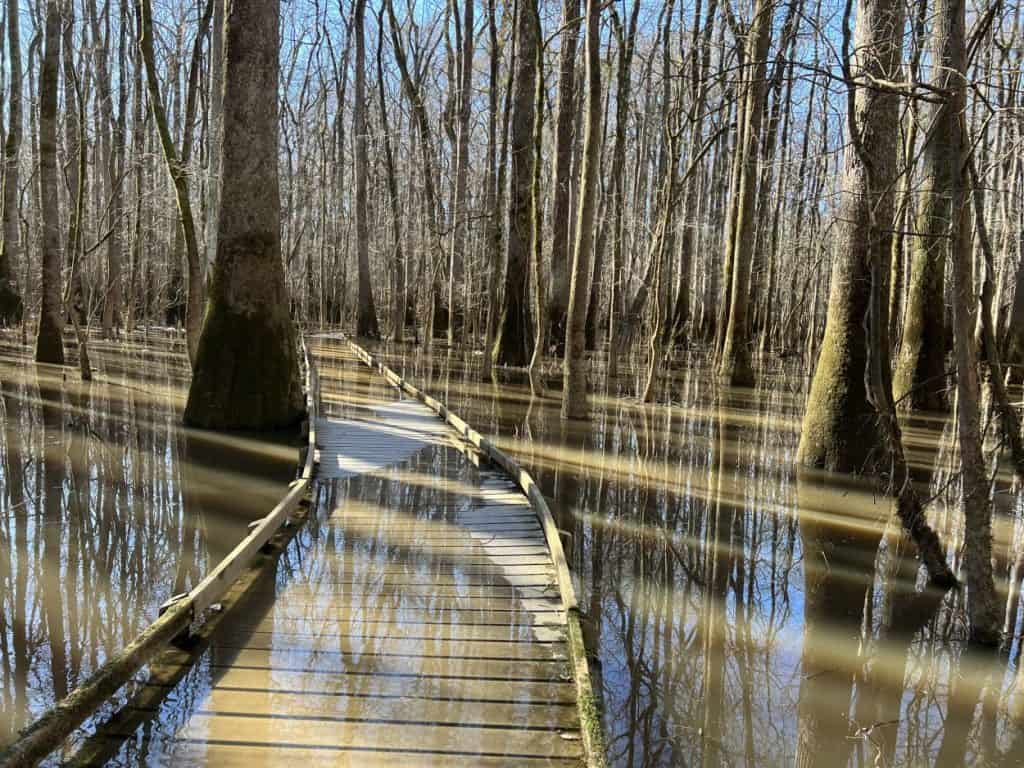 The lower Boardwalk Loop Trail is submerged