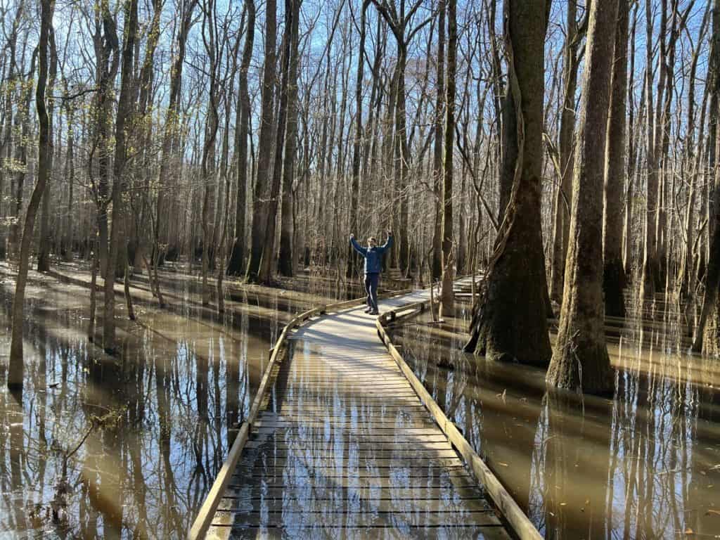 Trail is partly under water in Congaree