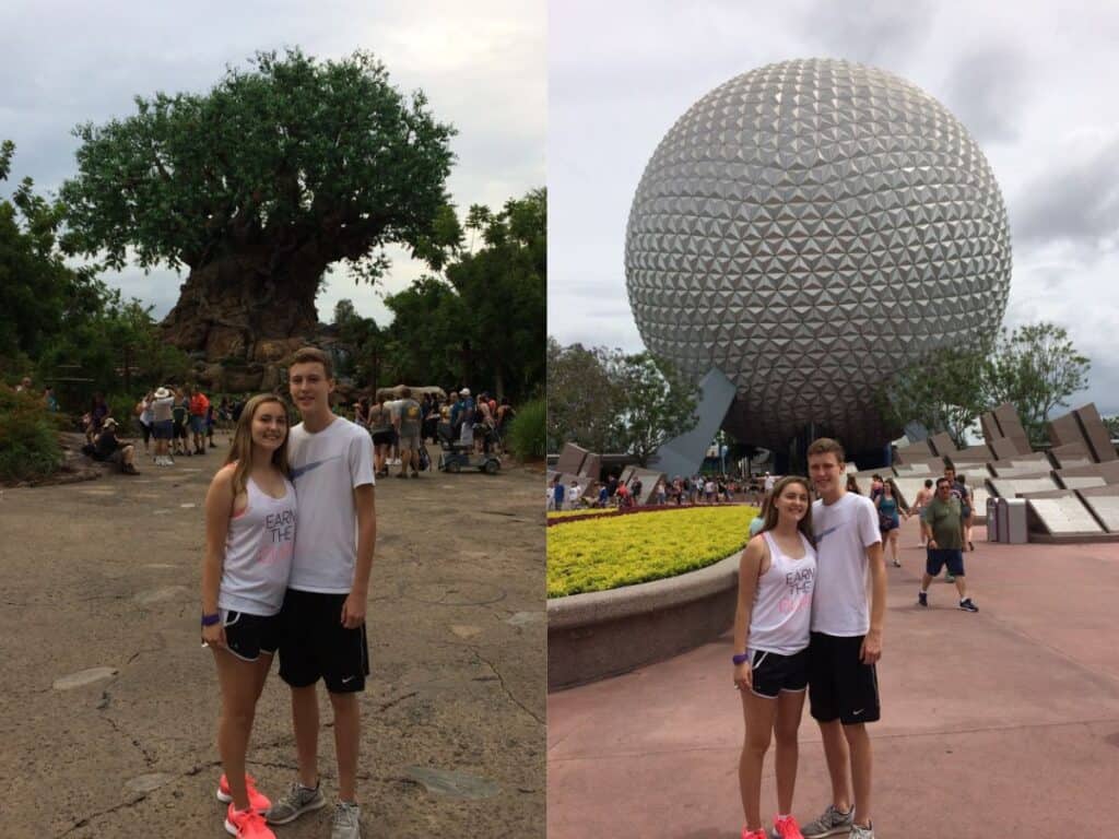 Animal Kingdom's landmark - Tree of Life and EPCOT's landmark - Spaceship Earth