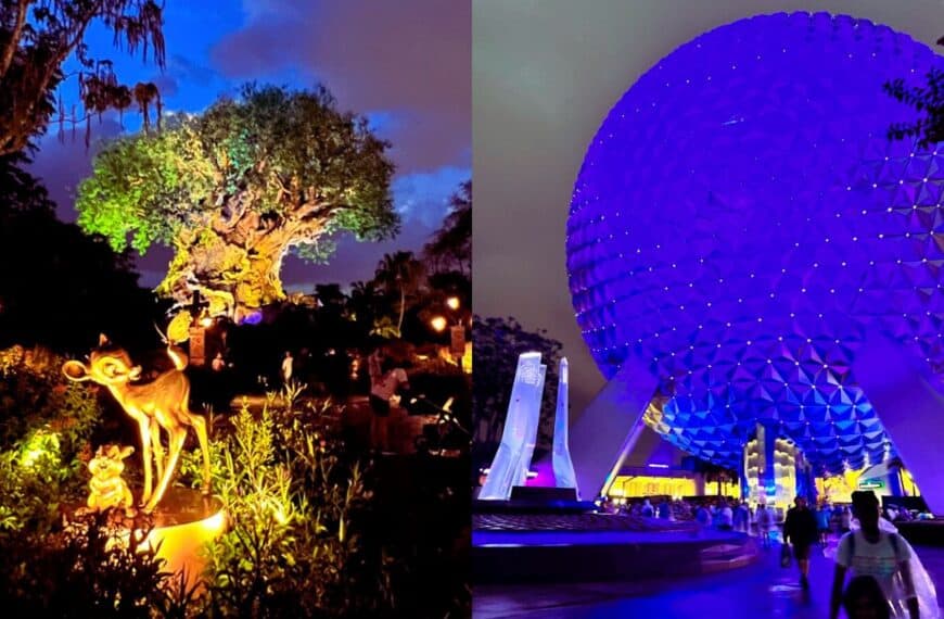 Animal Kingdom's Tree of Life and EPCOT's Spaceship Earth