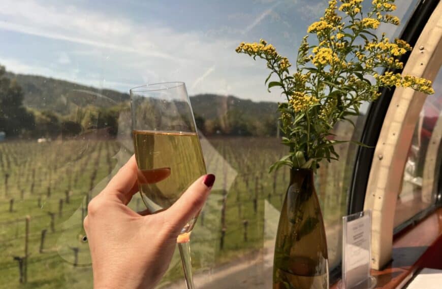 View from Napa Valley Wine Train