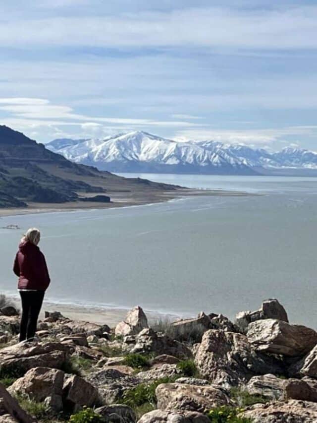 things to do in Salt Lake City - visit Antelope Island State Park