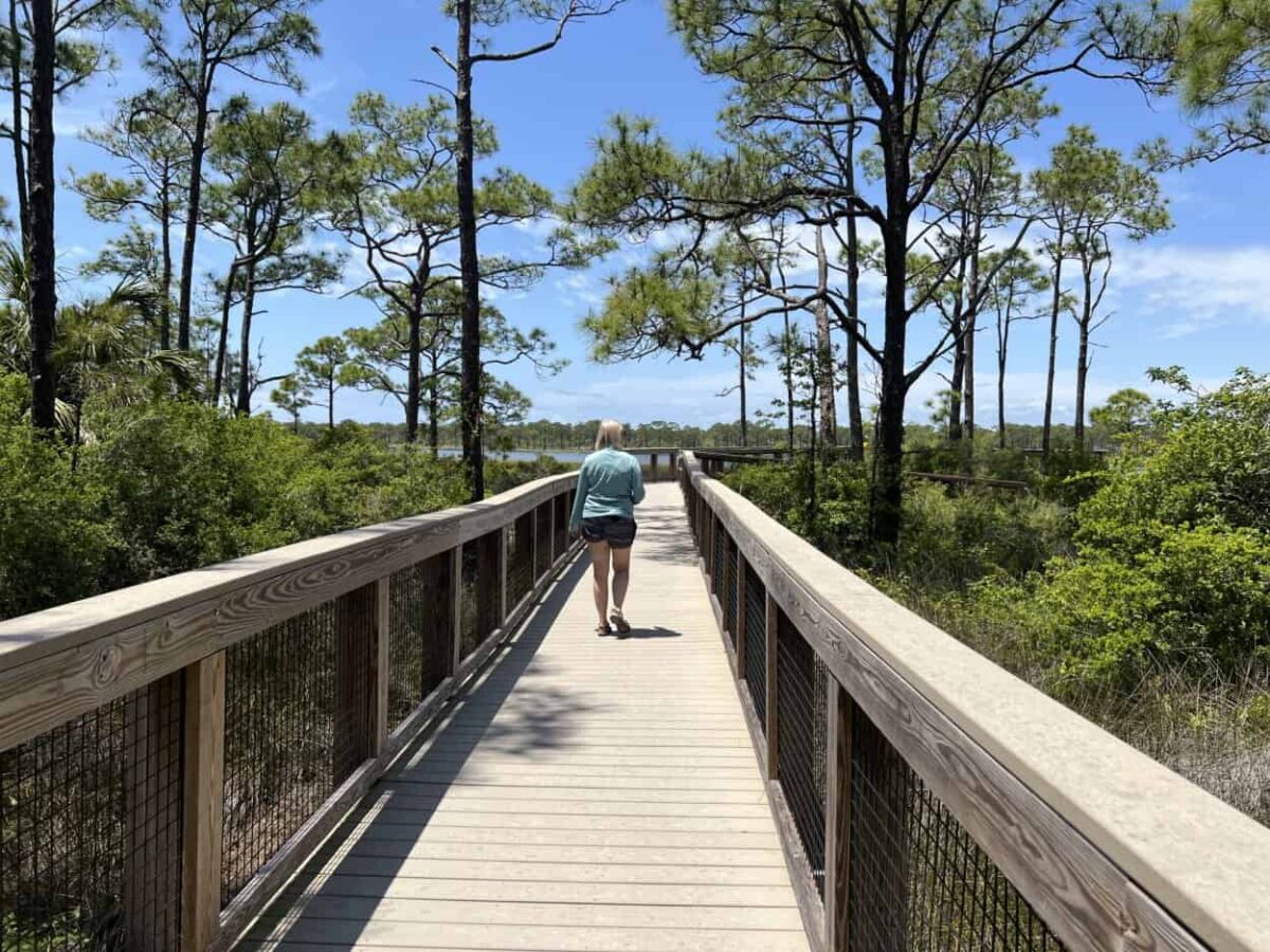 Julie takes a boardwalk stroll at St. George Island State Park, FL.