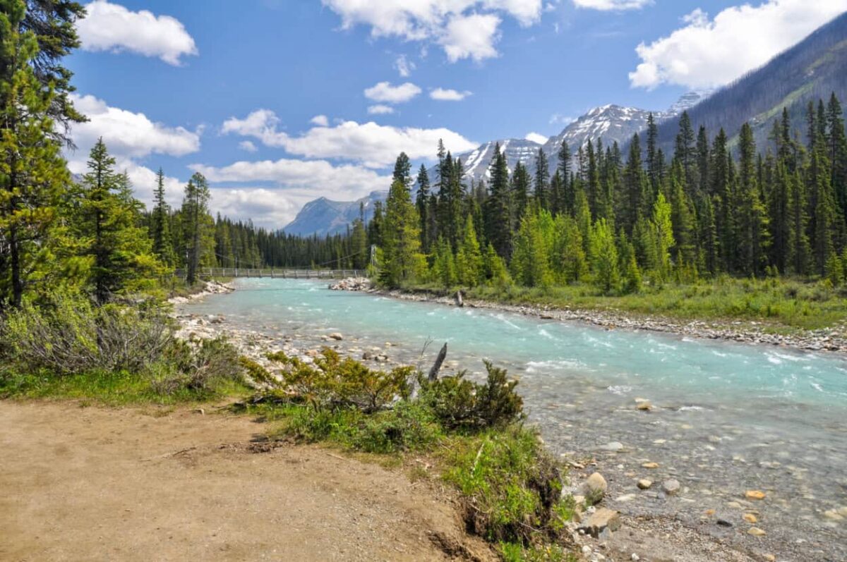 A blue river rushes along green trees and snowy mountains