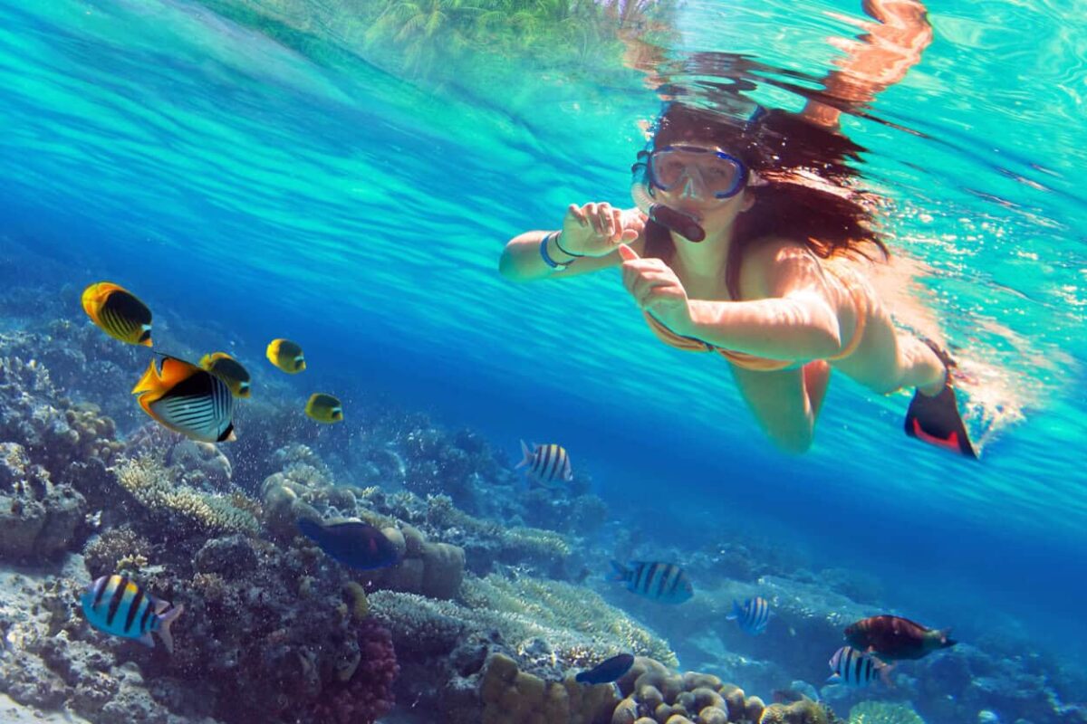 a woman looks at fish while snorkeling