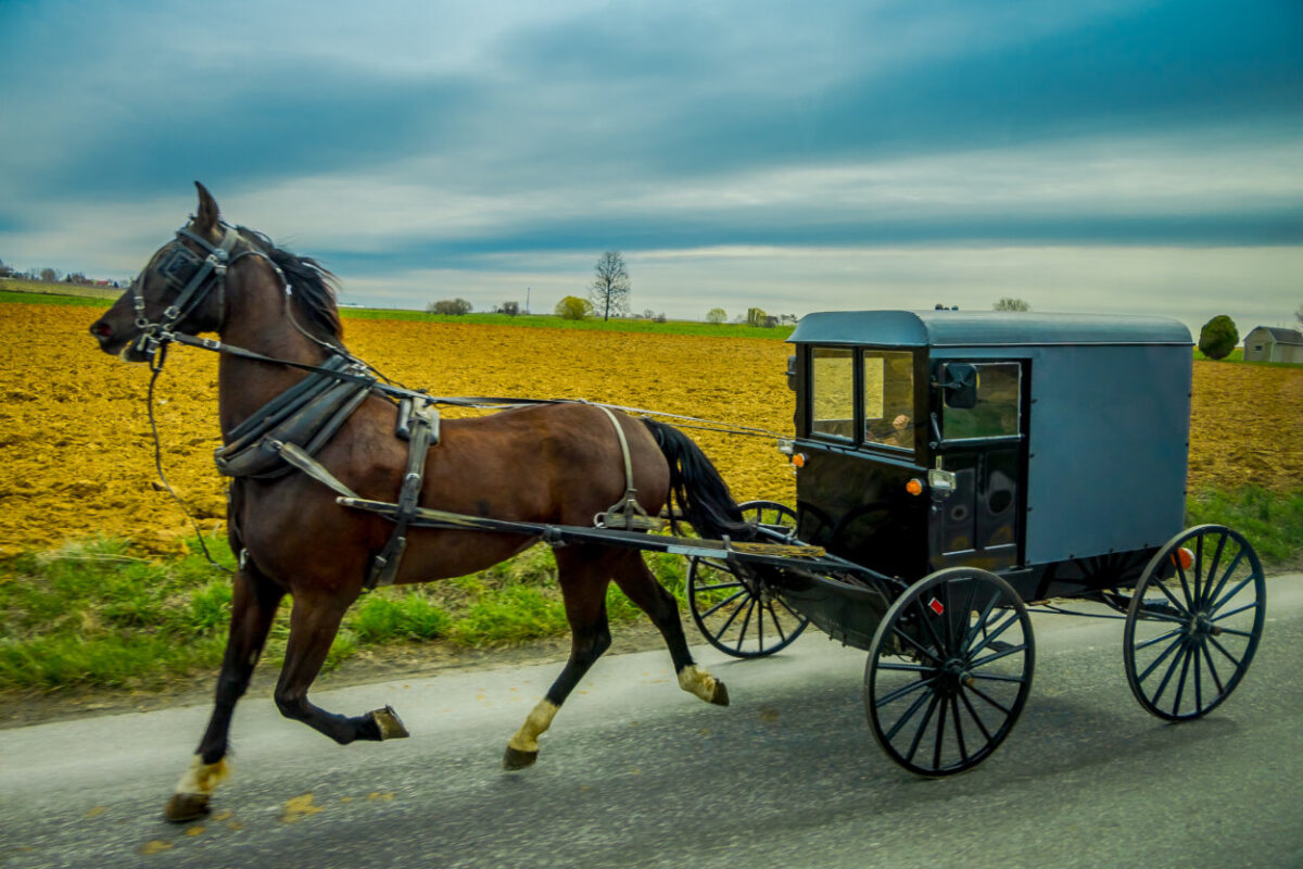 A horse pulls a buggy on a street with a field in the background