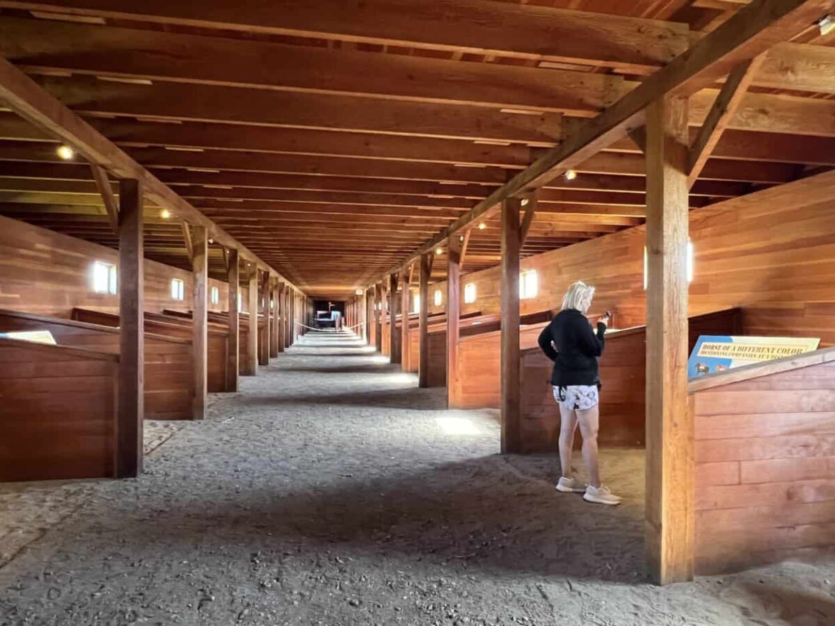 A woman read informational signs in the stables at Fort Abraham Lincoln State Park