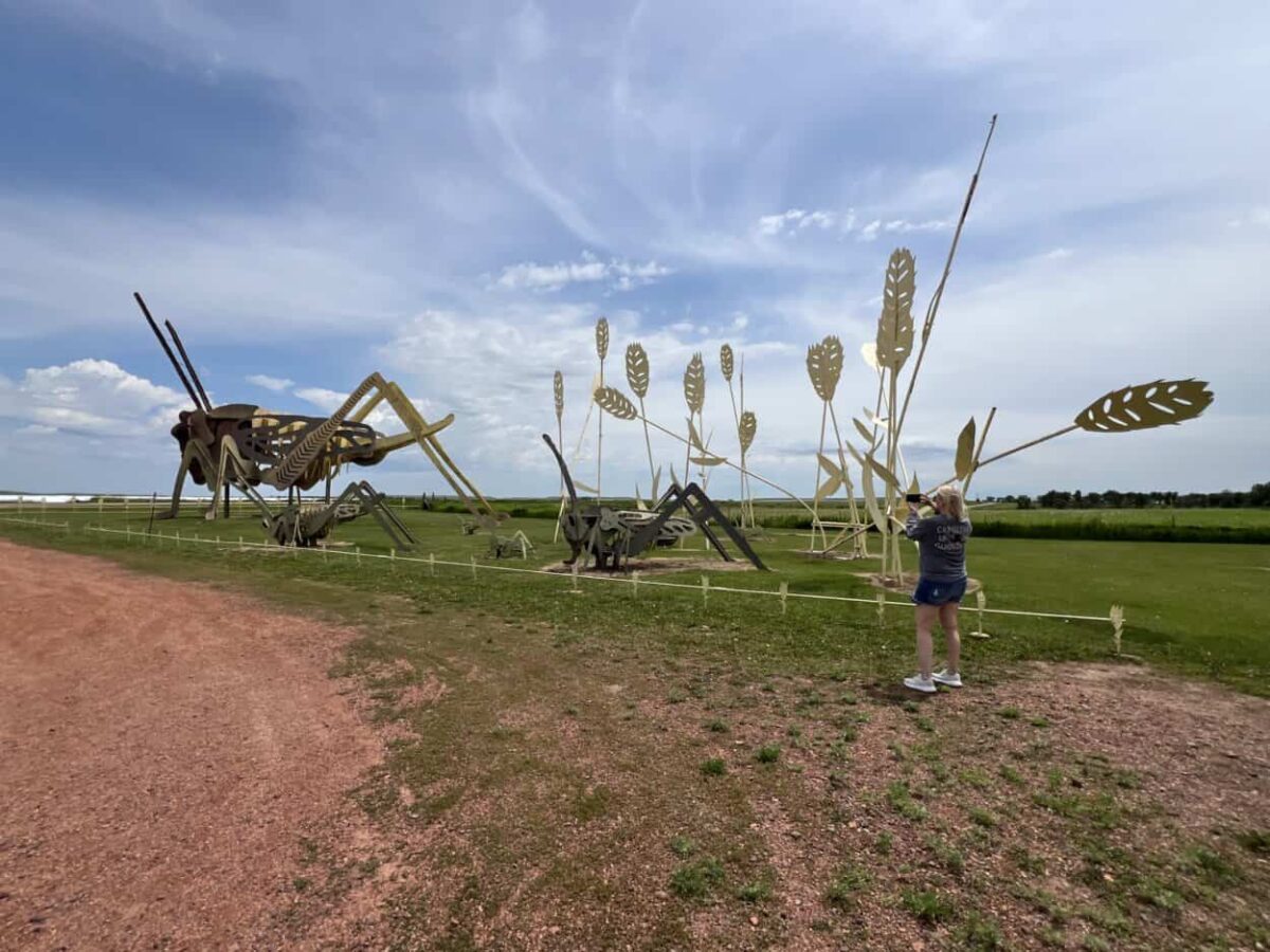 A woman takes a picture of a roadside attraction with giant grasshoppers and wheat