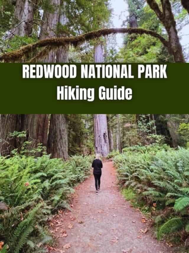 cropped-Redwood-NP-hiking-guide.jpg