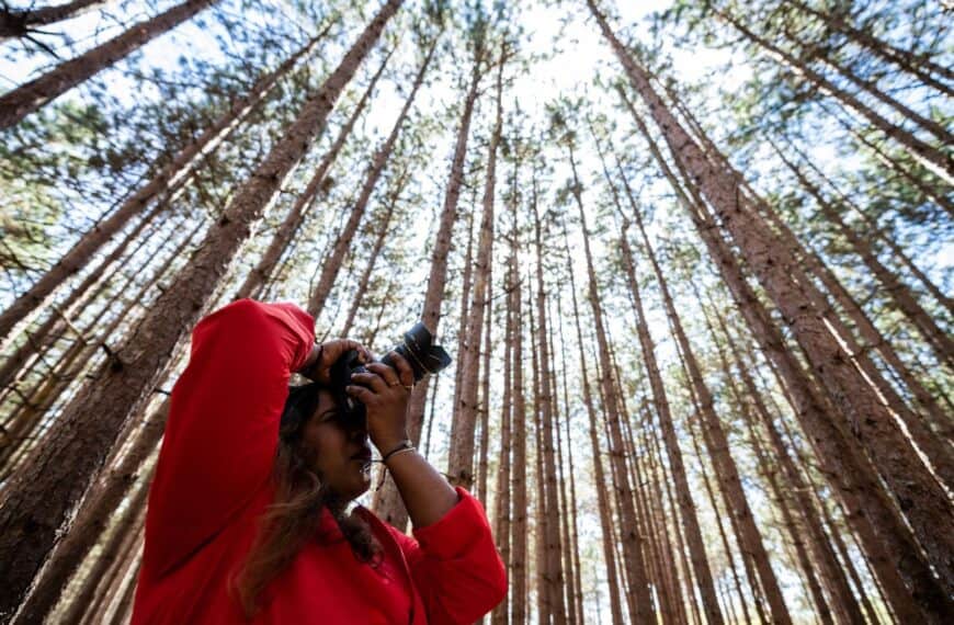 A woman points her camera up toward the sky to take pictures of the trees in Whitefish Dunes State Park