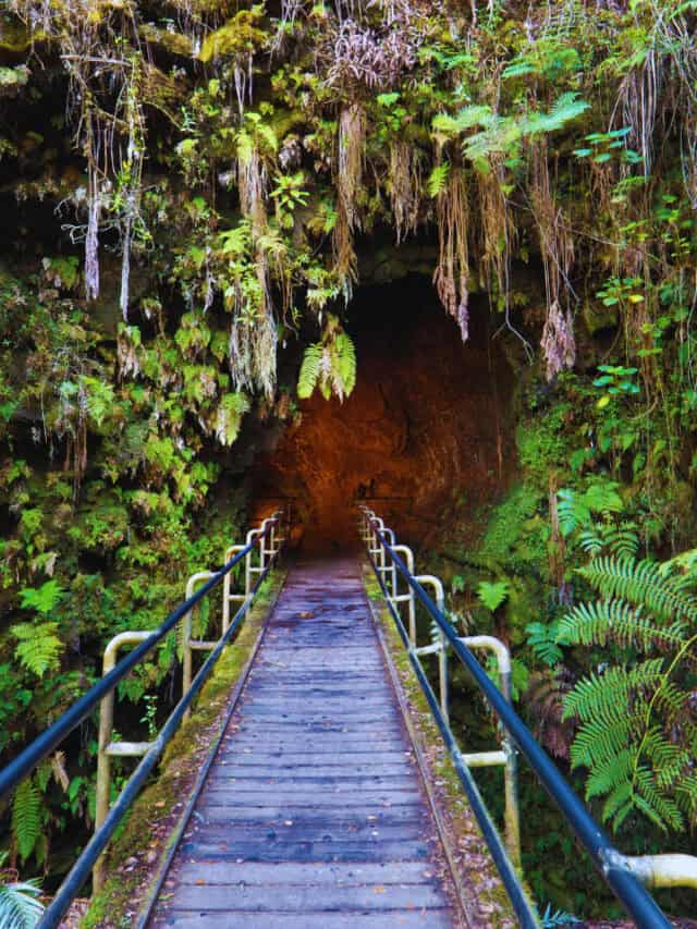 National Parks with August Birthdays