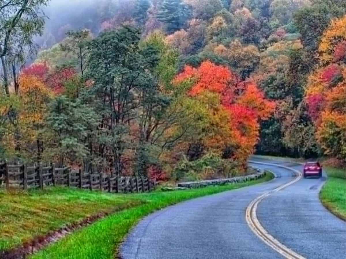 A red car drives downhill on Blue Ridge Parkway with trees showing fall colors
