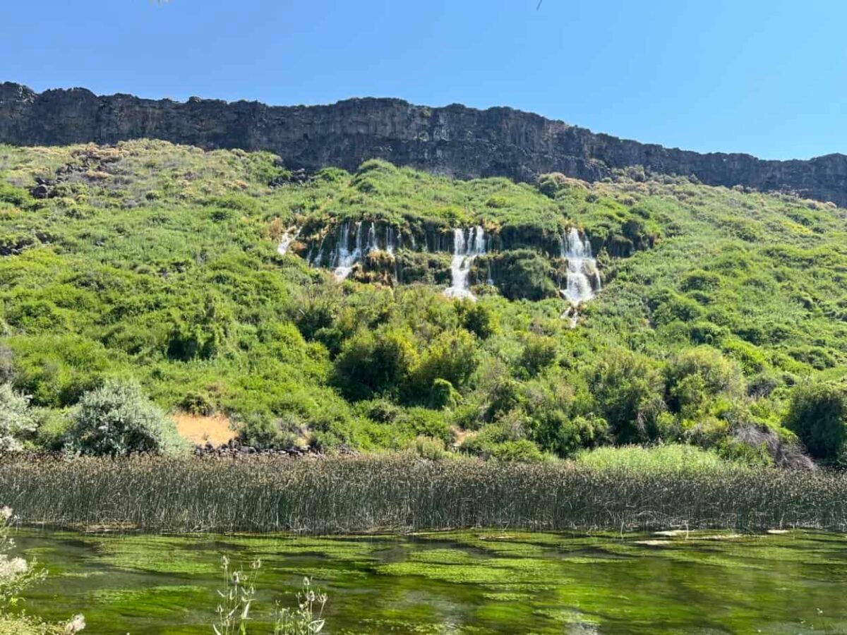 Waterfall spills down a mountain covered in grass.