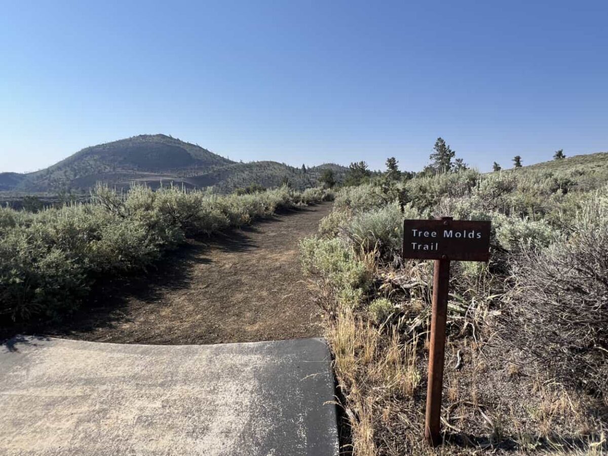 A sign reads "Tree Molds Trail"