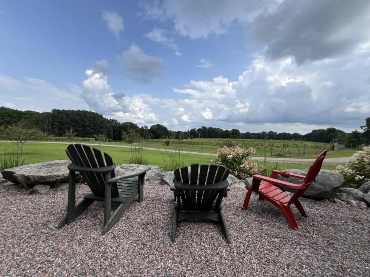 Adirondack chairs sit in gravel facing a vineyard in the distance.