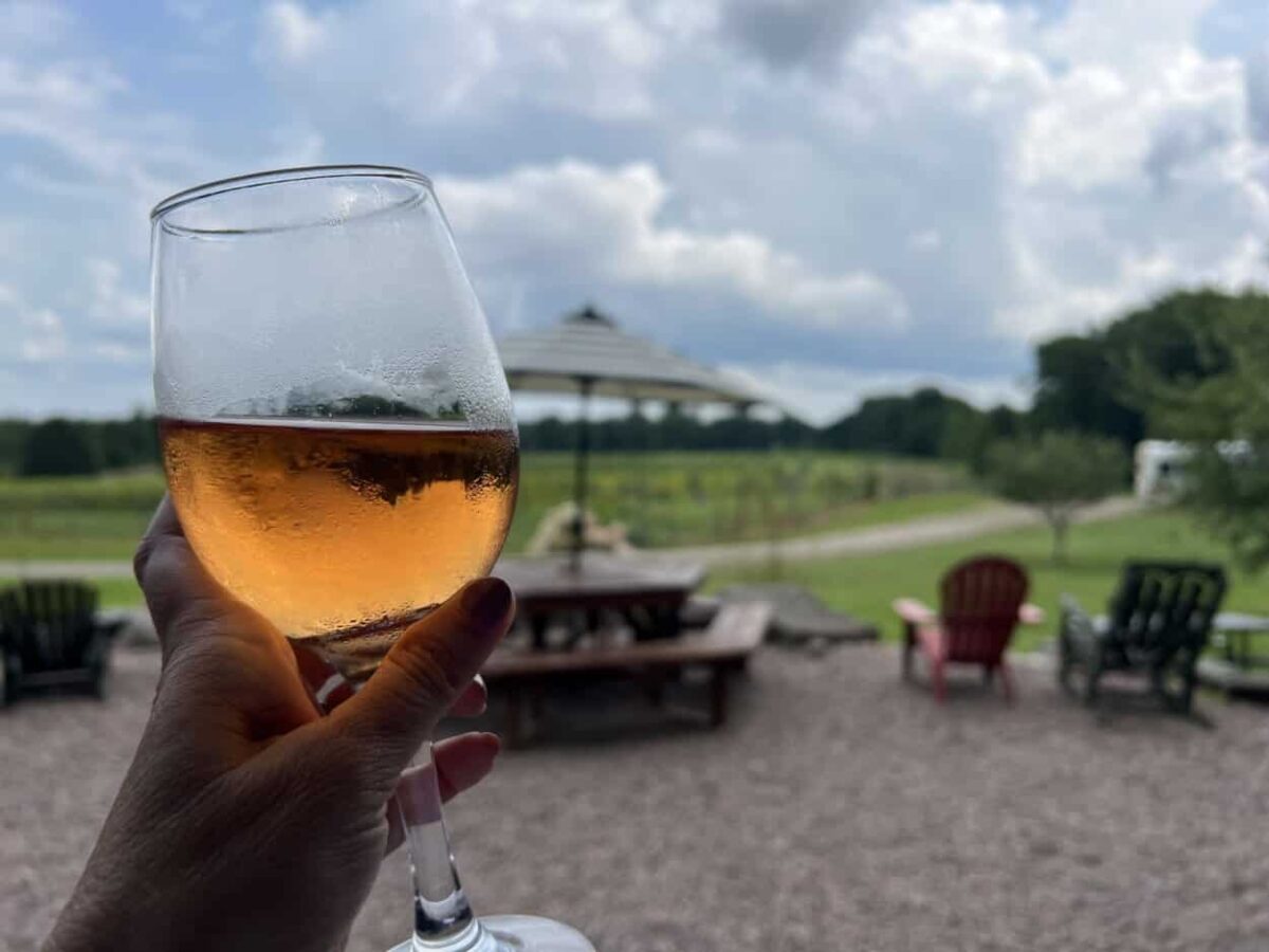 A woman's hand holds a glass of wine with seats and a vineyard in the background.