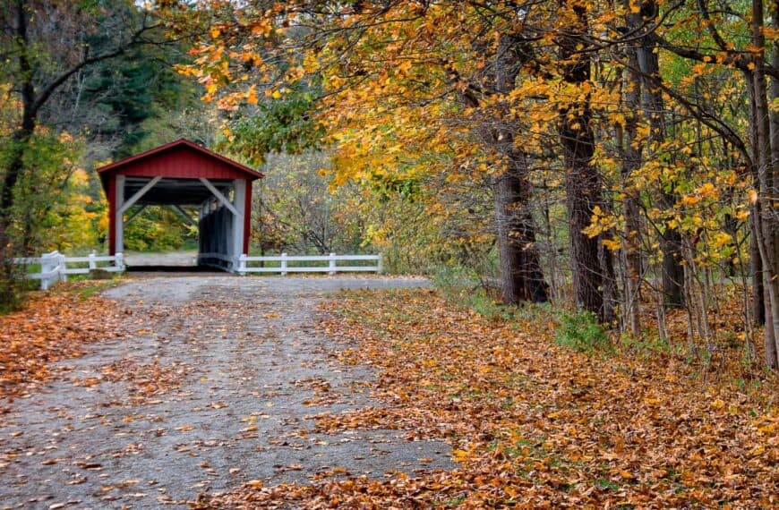 Yellow leaves lay on a dirt road leading to a red covered bridge in Cuyahoga Valley National Park in Ohio.