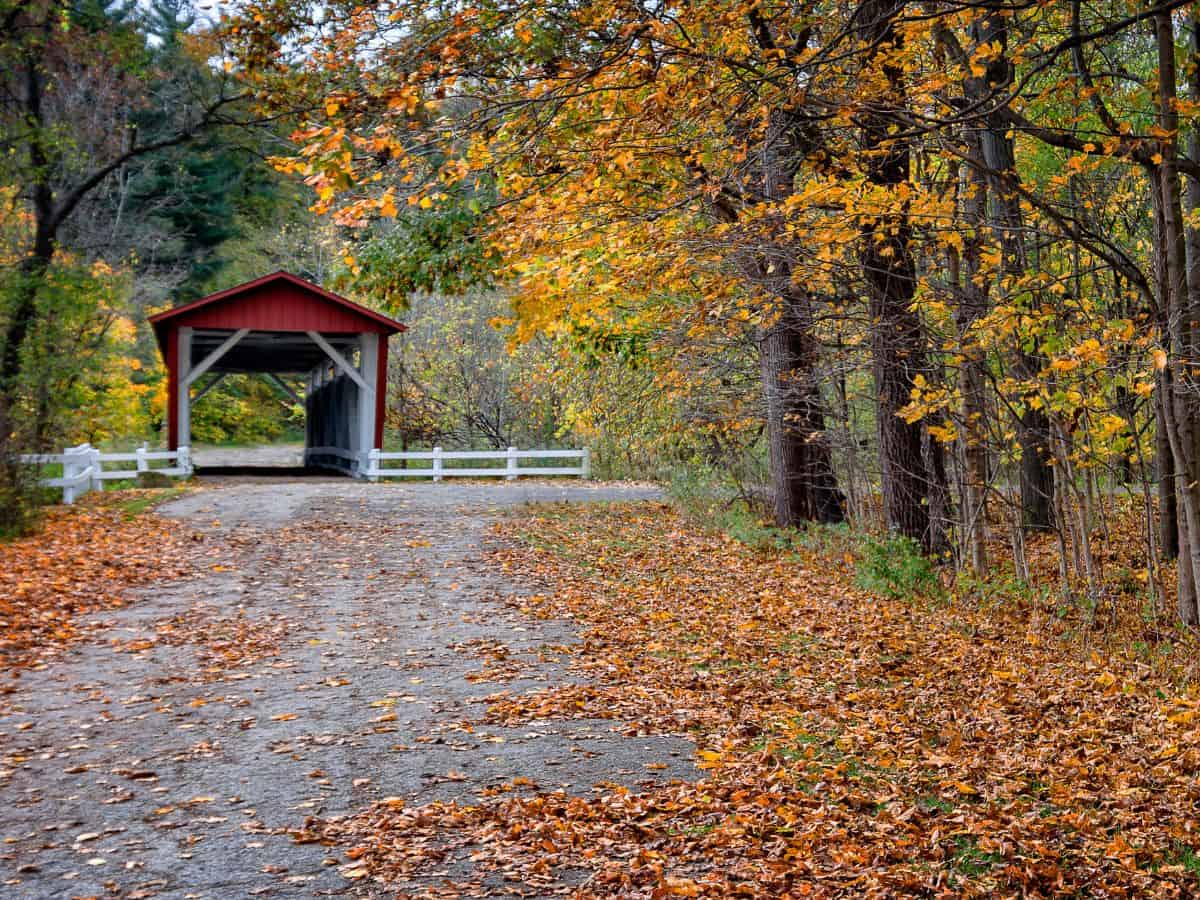 Yellow leaves lay on a dirt road leading to a red covered bridge in Cuyahoga Valley National Park in Ohio.