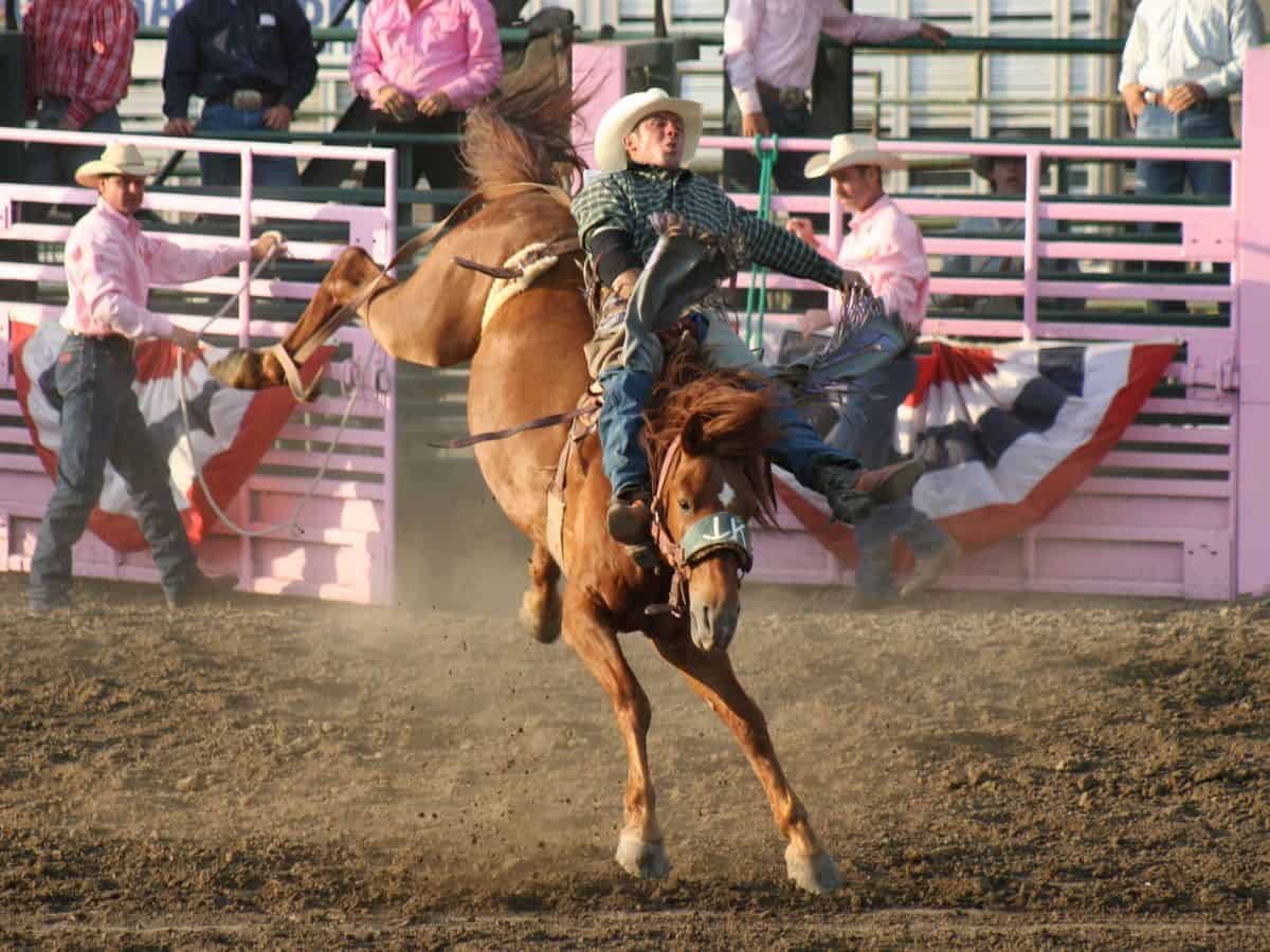 A man rides a horse at a rodeo in Mandan, ND.