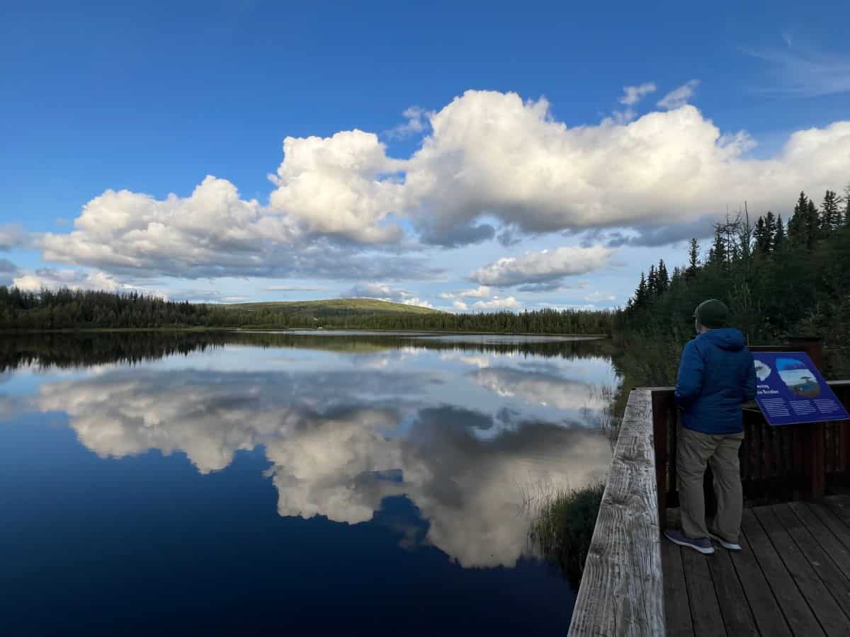 A man stands on a deck in Fairbanks, AK looking over a pond which reflects the trees and clouds like a mirror.