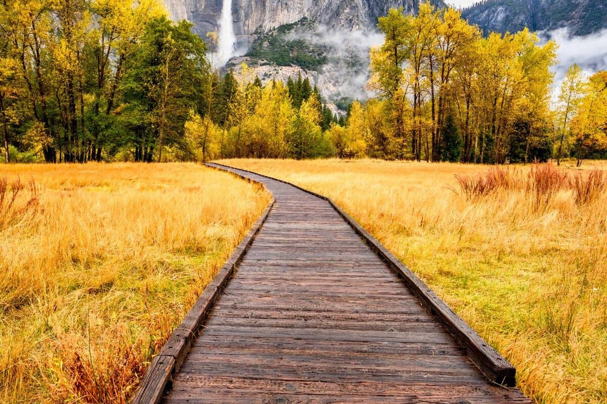 A boardwalk trail leads through a meadow to a large granite dome with a tall waterfall in Yosemite National Park.