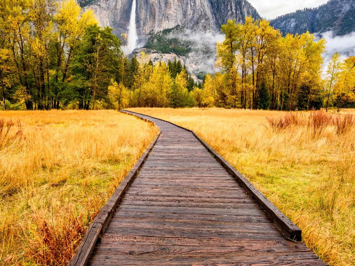 A boardwalk trail leads through a meadow to a large granite dome with a tall waterfall in Yosemite National Park.