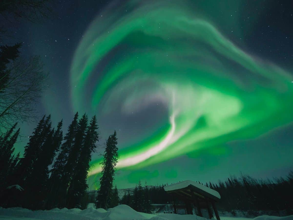 The northern lights appear in the Fairbanks night sky