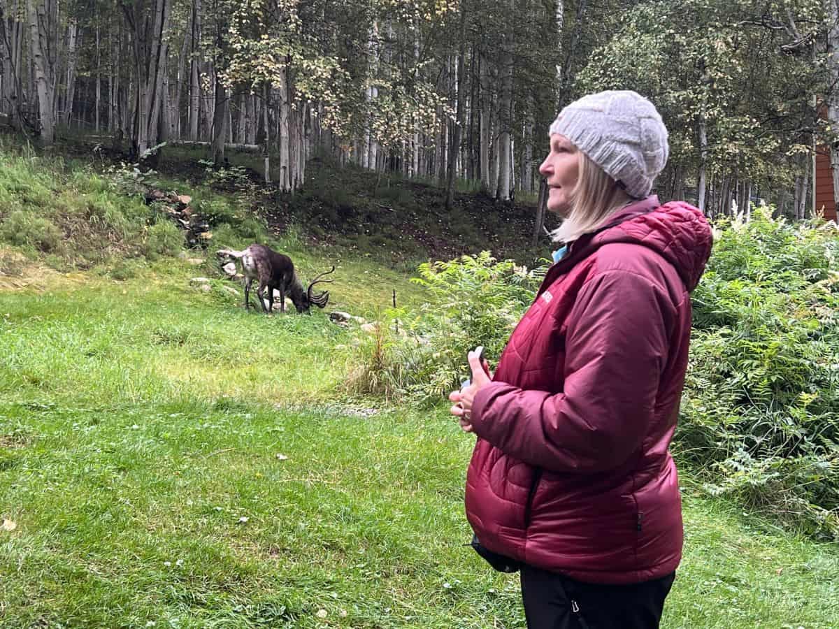 A woman watches a reindeer graze in a field in Fairbanks, Alaska.