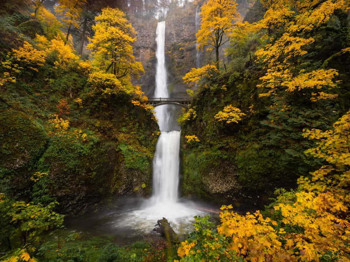 A towering waterfall spills in two tiers with a bridge between the tiers and yellow leaves adorning the surrounding trees