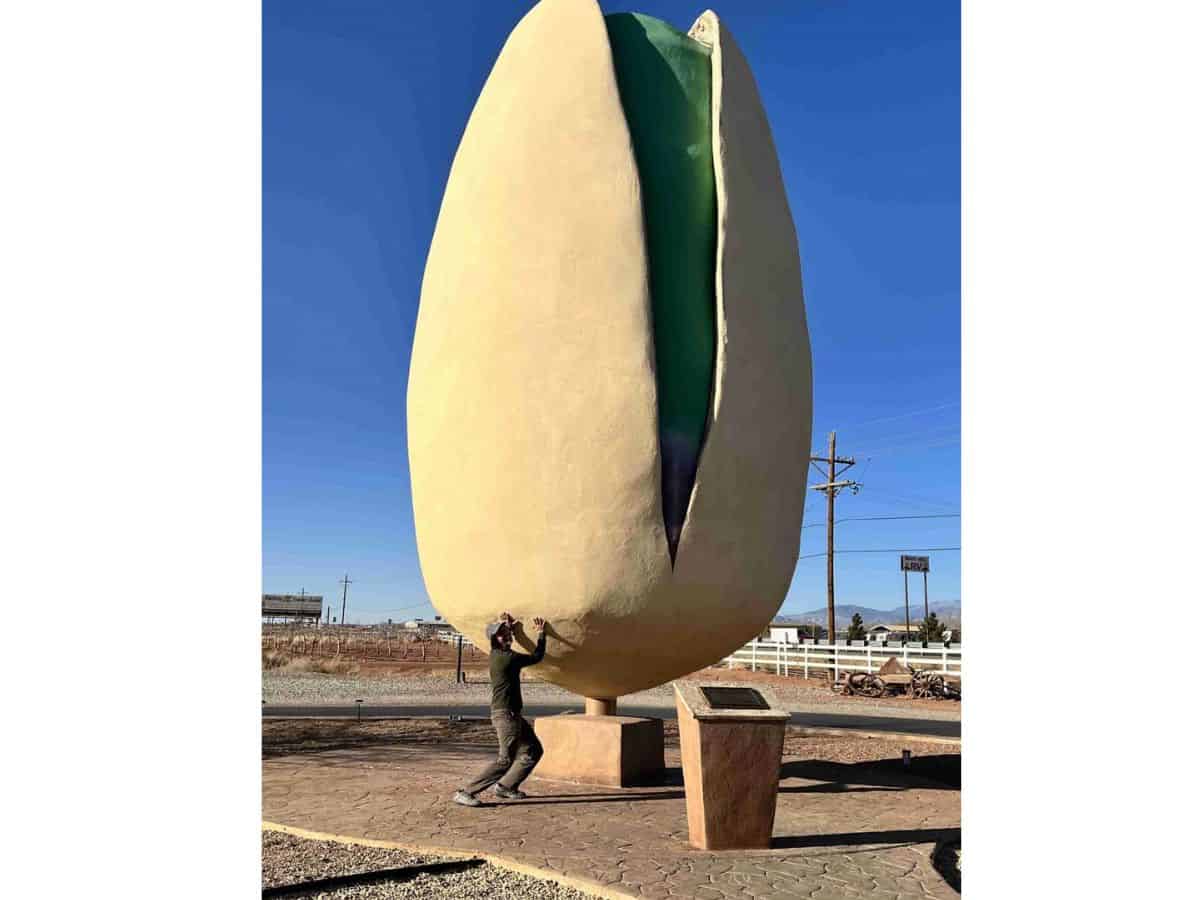 A man pretends to life a giant pistachio which is a roadside attraction in New Mexico