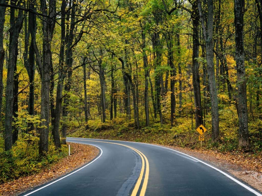 A road curves, heading into a beautiful forest on Skyline Drive, Virginia.