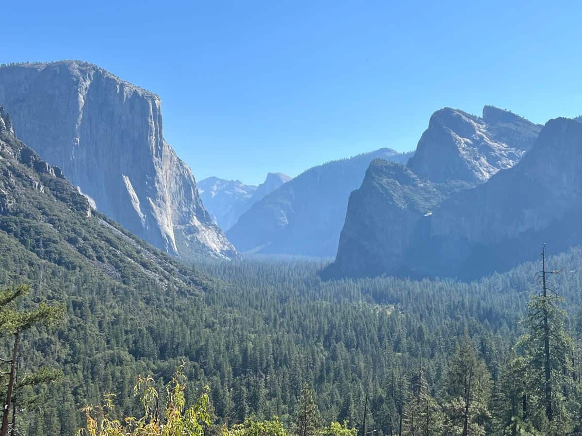 A forested valley has large granite domes in the distance.
