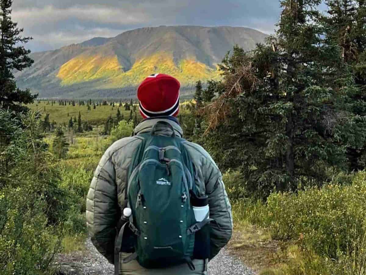 Scott McConkey, travel writer and founder of Miles with McConkey Travel Blog, wears a green Venture Pal backpack while hiking in Denali National Park.